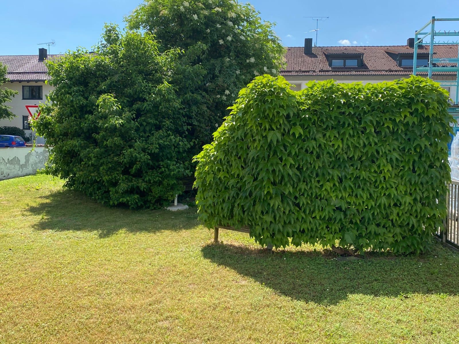 IMG_3205_Garten